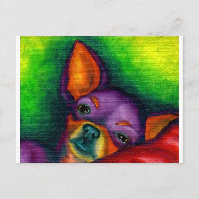 Colorful Chihuahua Postcard (Front)