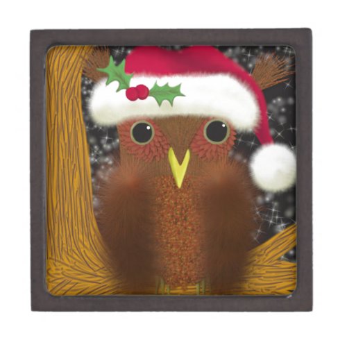 Colorful Christmas Eve Owl Jewelry Box