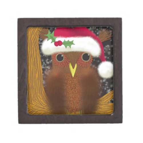Colorful Christmas Eve Owl Keepsake Box