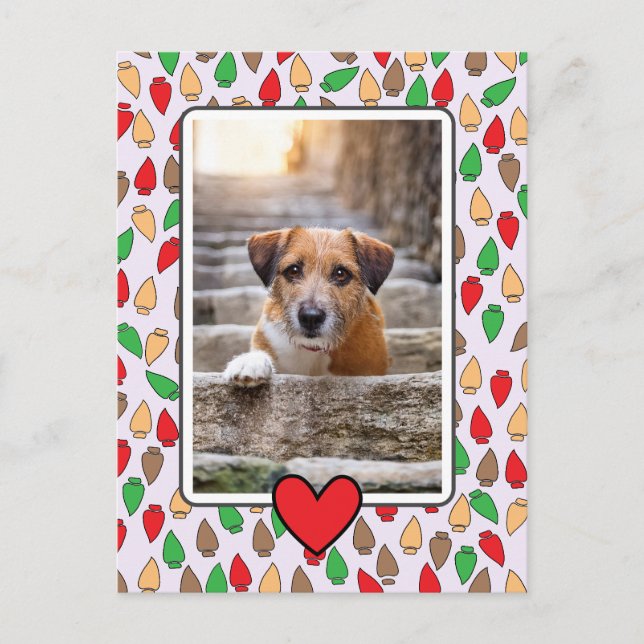 Colorful Christmas Lights Dog Postcard (Front)