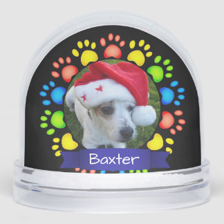 Colorful Christmas Paws Custom Pet Photo Snow Globe