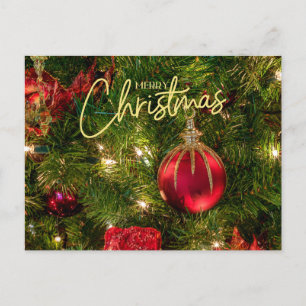 Colorful Christmas Tree and Ornaments   Holiday Postcard