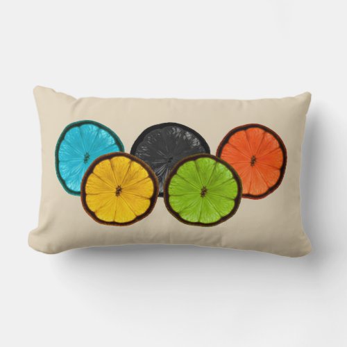 Colorful Citrus Slices Decorative Accent Pillow