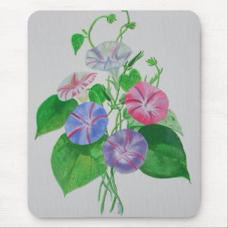 Colorful Climbing Morning Glory Botanical Art Mouse Pad