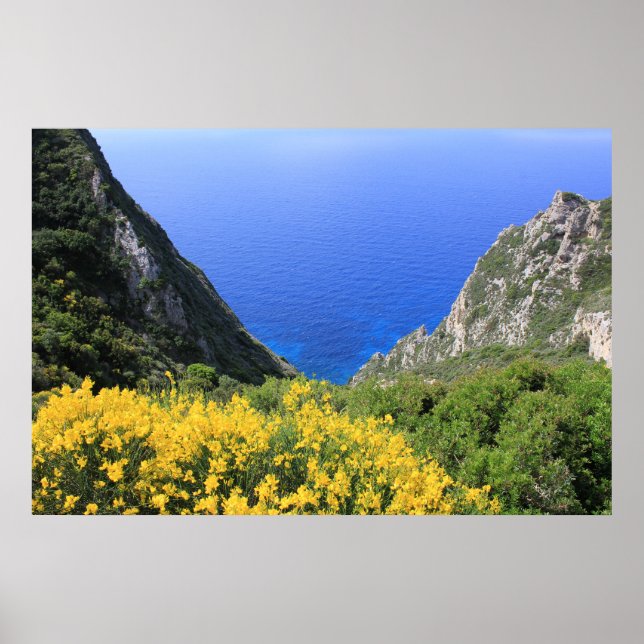 Colorful Coast Poster (Front)