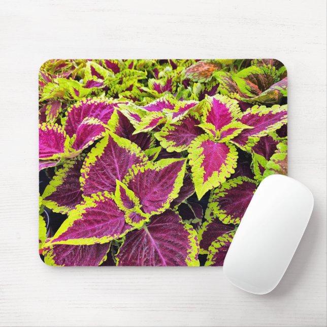 Colorful Coleus Leaves Mouse Pad (With Mouse)