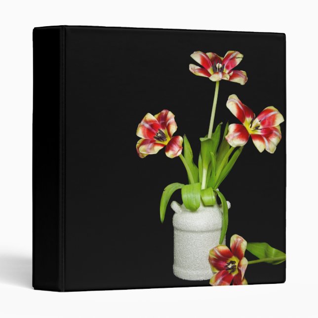 Colorful Collection 3 Ring Binder (Front/Spine)