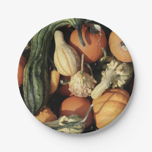 Colorful Collection of Autumn Gourds Paper Plates