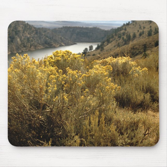 Colorful Colorado Canyon Brush Mousepad (Front)