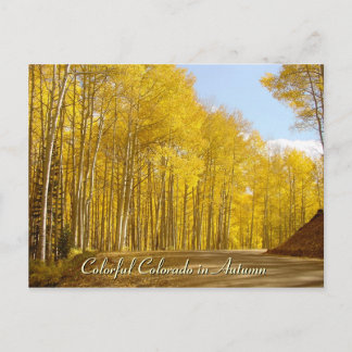 Colorful Colorado in Autumn Postcard