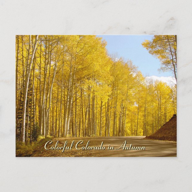 Colorful Colorado in Autumn Postcard (Front)