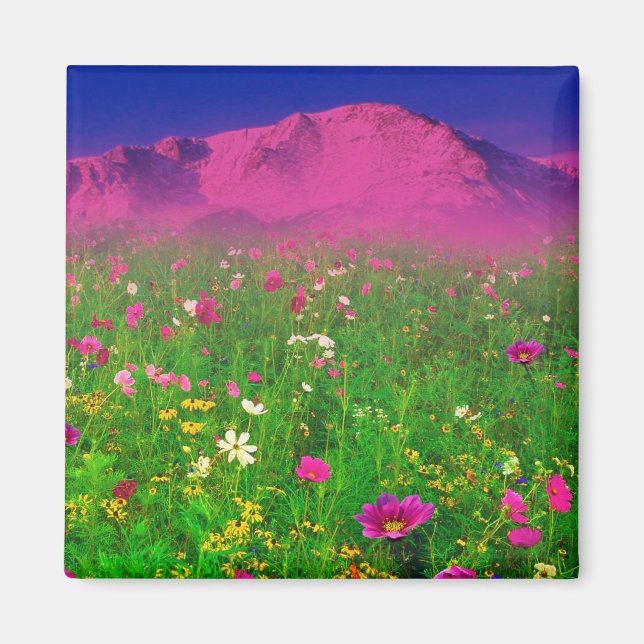 Colorful Colorado, Pikes Peak Mountain Magnet (Front)