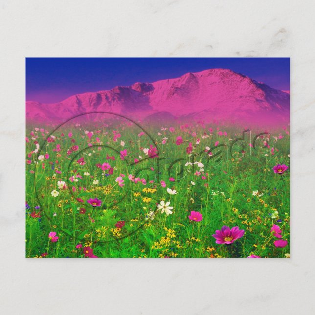 Colorful Colorado, Pikes Peak Mountain Postcard (Front)
