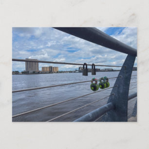 Colorful Combination Love Locks Postcard