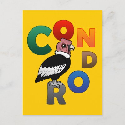 Colorful Condor Postcard
