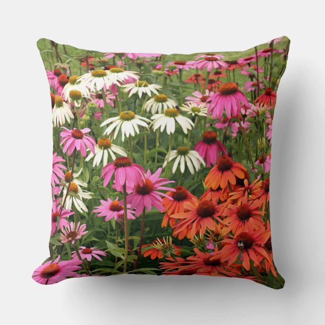 Colorful Coneflowers Throw Pillow (Front)