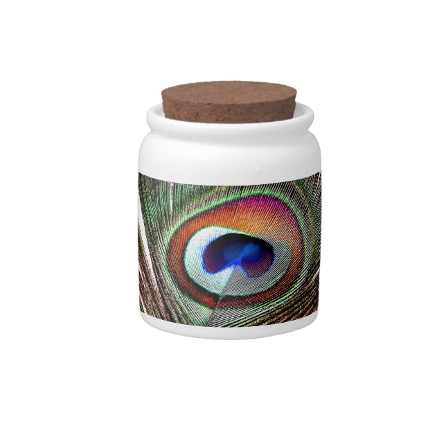 Colorful Copper Peacock Feather Candy Jar (Front)