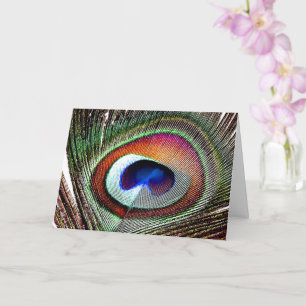 Colorful Copper Peacock Feather Card