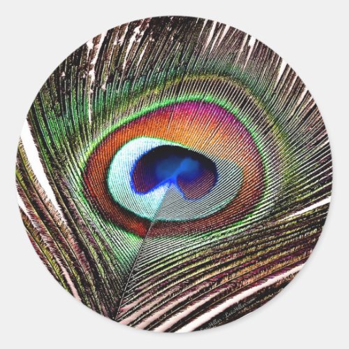 Colorful Copper Peacock Feather Classic Round Sticker
