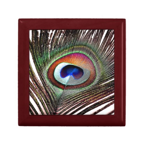 Colorful Copper Peacock Feather Gift Box