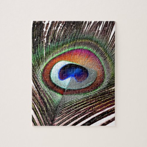 Colorful Copper Peacock Feather Jigsaw Puzzle