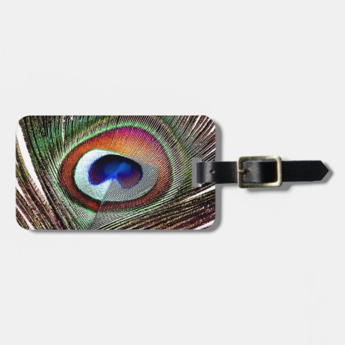 Colorful Copper Peacock Feather Luggage Tag