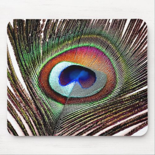 Colorful Copper Peacock Feather Mouse Pad