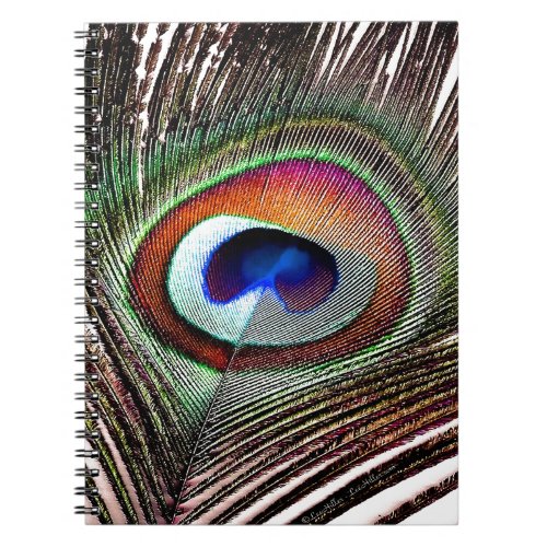 Colorful Copper Peacock Feather Notebook