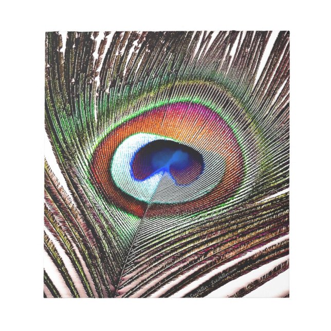 Colorful Copper Peacock Feather Notepad (Front)