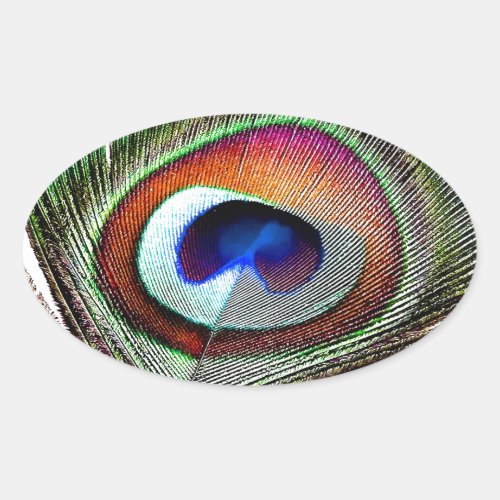 Colorful Copper Peacock Feather Oval Sticker
