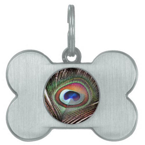 Colorful Copper Peacock Feather Pet ID Tag