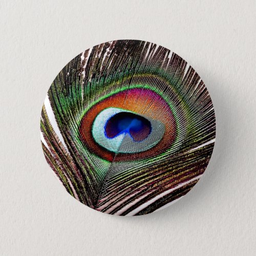 Colorful Copper Peacock Feather Pinback Button