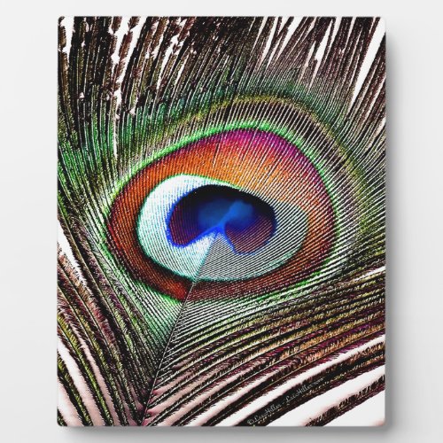 Colorful Copper Peacock Feather Plaque