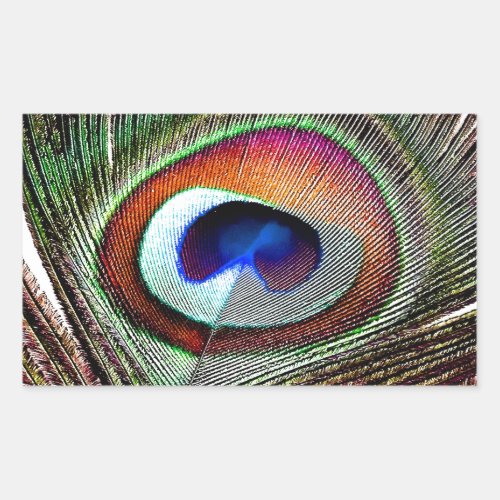Colorful Copper Peacock Feather Rectangular Sticker