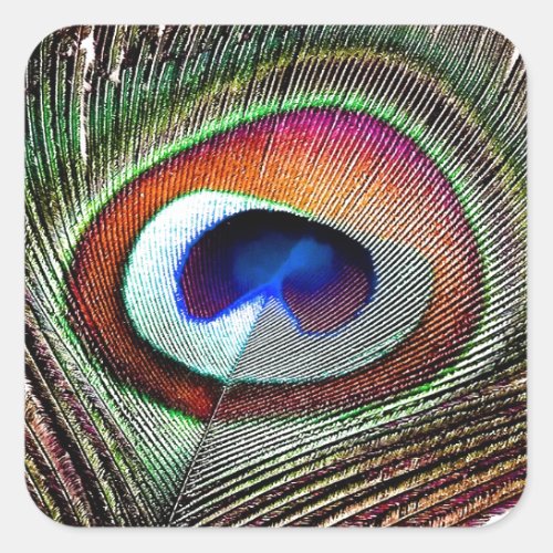 Colorful Copper Peacock Feather Square Sticker