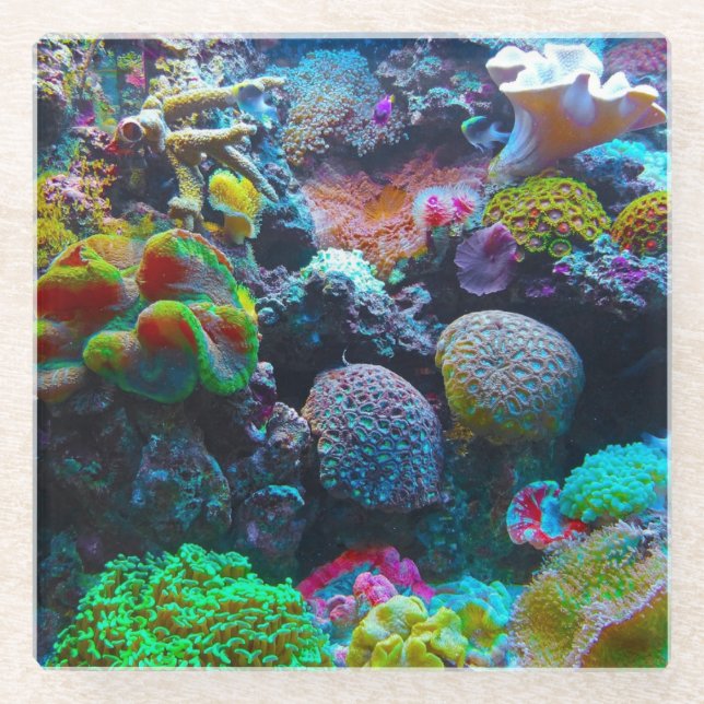 Colorful Coral Glass Coaster (Front)