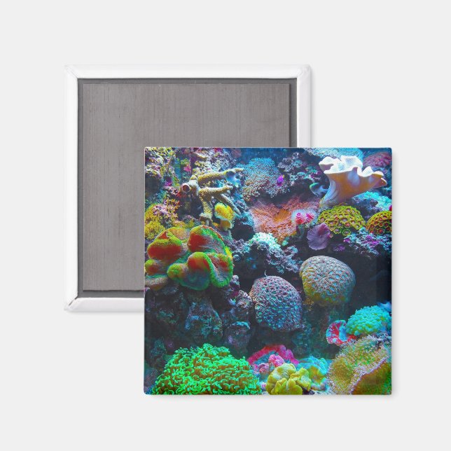 Colorful Coral Magnet (Front/Back)