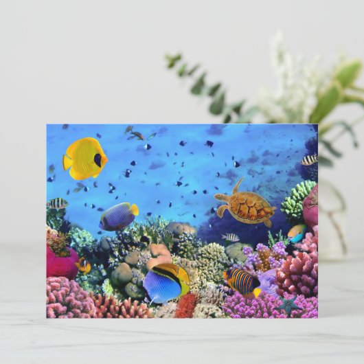 Colorful Coral Reef Critters (Standing Front)