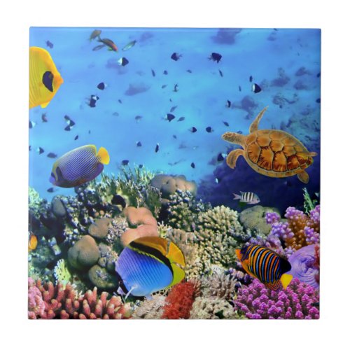 Colorful Coral Reef Critters Tile