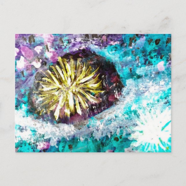 Colorful Coral Reef Sea Urchin Postcard (Front)