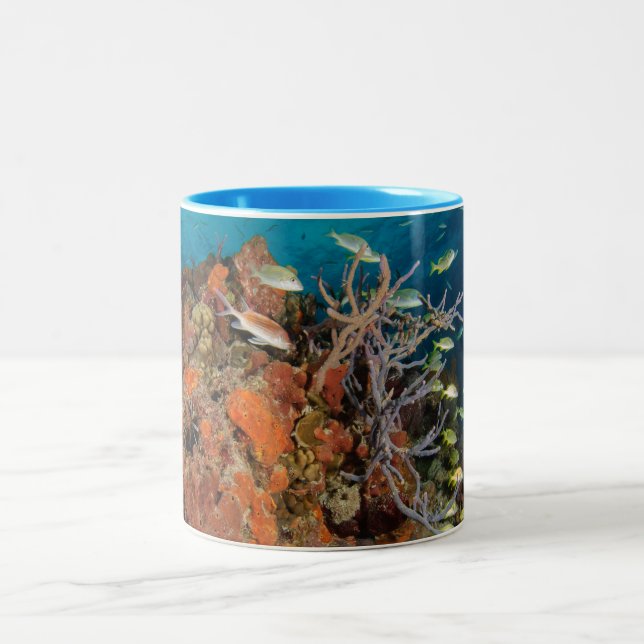 Colorful Coral Reef Two-Tone Coffee Mug (Center)