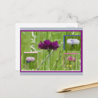 Colorful Cornflowers Collage DIY Postcard