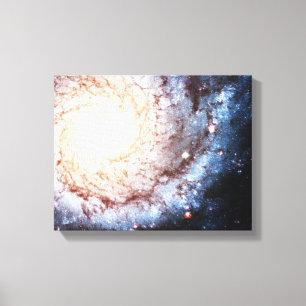 Colorful Cosmos Canvas Print