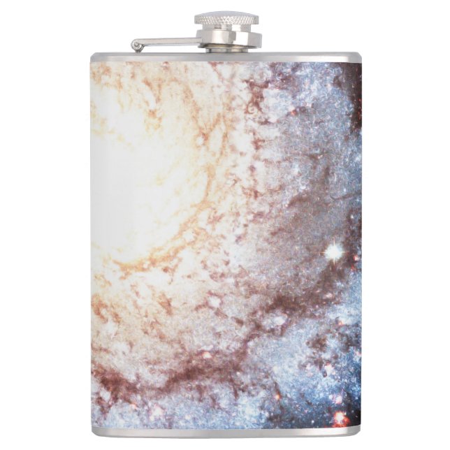 Colorful Cosmos Flask (Front)
