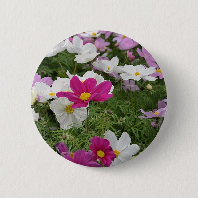 Colorful cosmos flower garden button (Front)