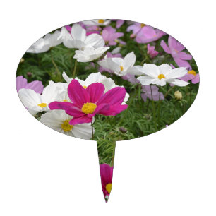 Colorful cosmos flower garden cake topper
