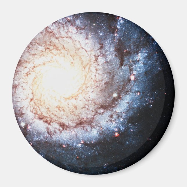 Colorful Cosmos Magnet (Front)