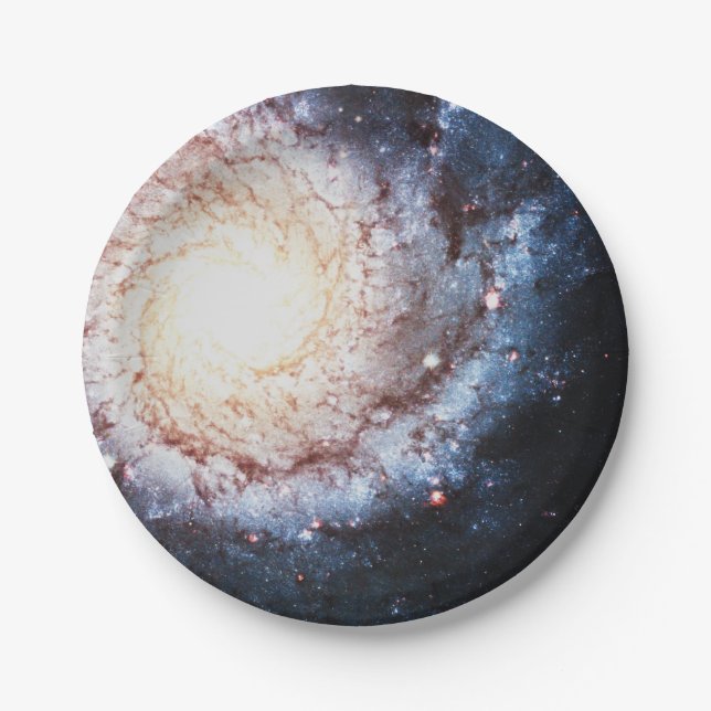 Colorful Cosmos Paper Plates (Front)
