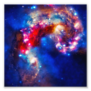 Colorful Cosmos Photo Print
