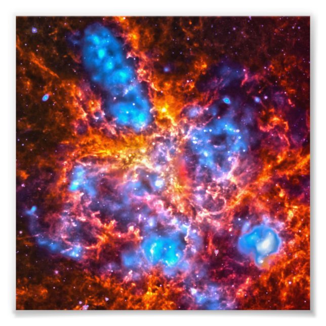 Colorful Cosmos Photo Print (Front)
